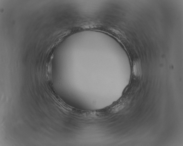 X0000073501444200608211703