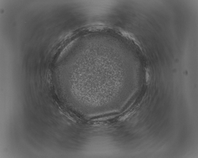 X0000073501445200608211703