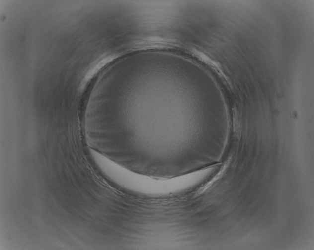 X0000073501453200608211703