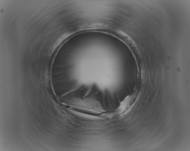 X0000073501457200608211703