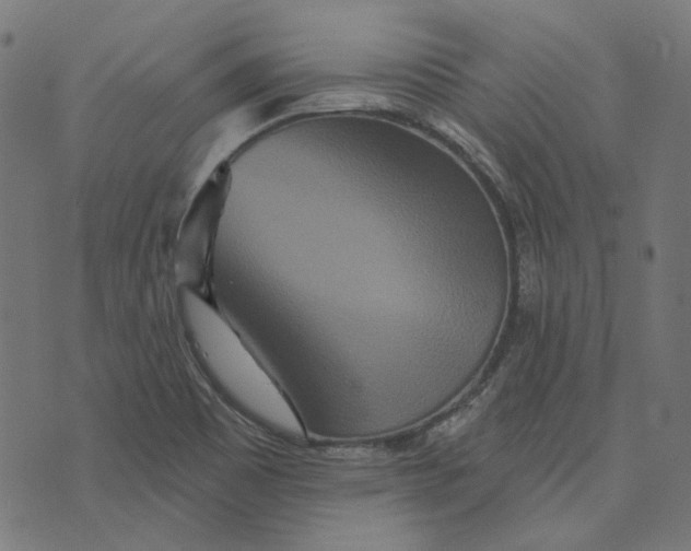 X0000073501465200608211702