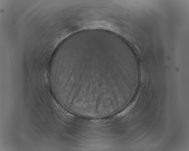 X0000073501497200608211701