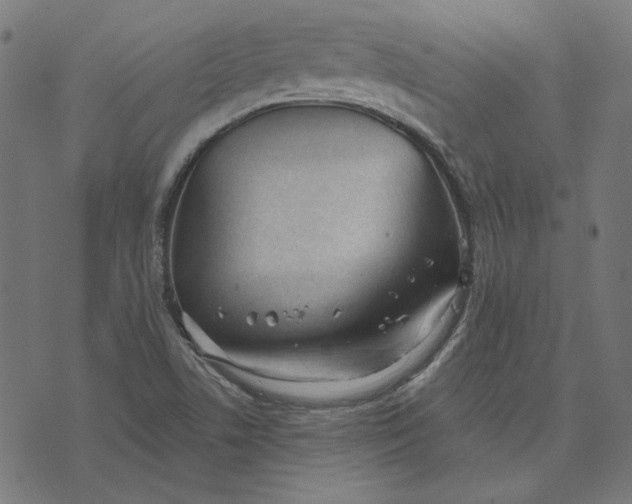 X0000073501506200608211702
