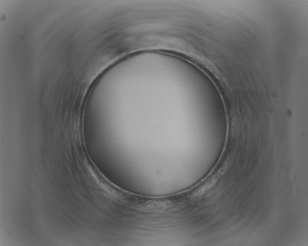 X0000073501513200608211702