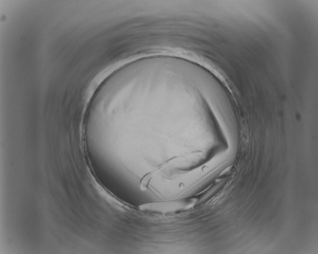 X0000073501535200608211702
