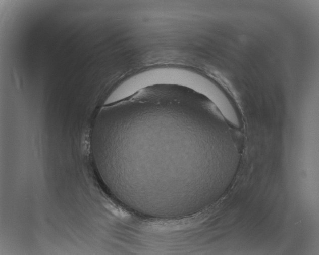 X0000073500017200608281653