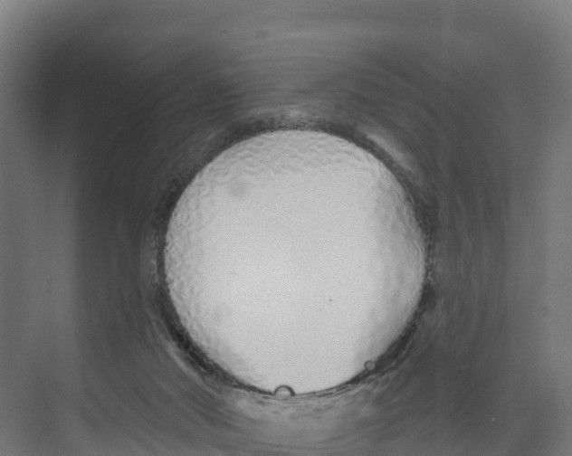 X0000073500022200608281653