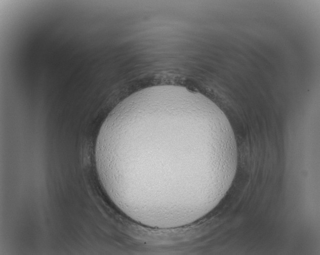 X0000073500038200608281653