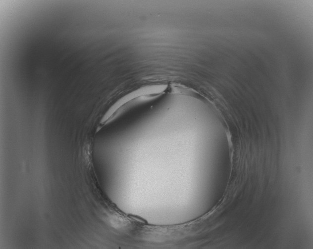 X0000073500045200608281652