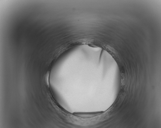 X0000073500047200608281652