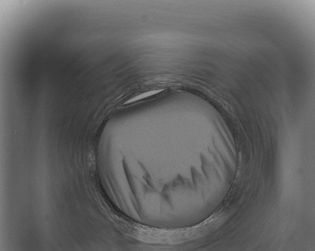 X0000073500048200608281652