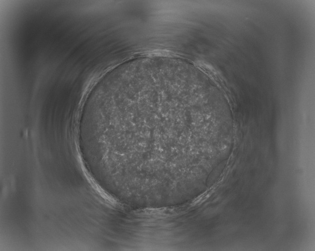 X0000073500049200608281652