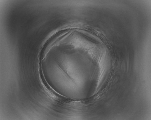 X0000073500054200608281652