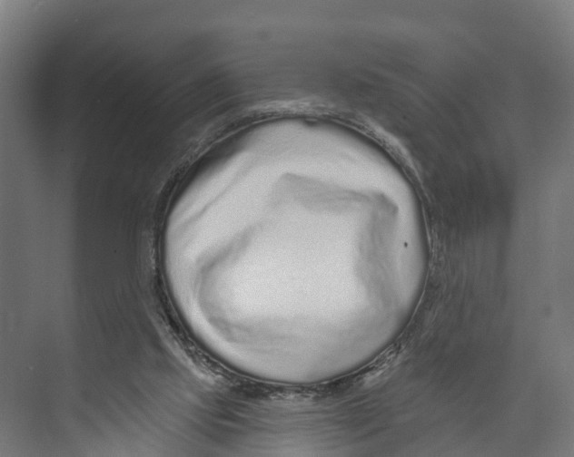 X0000073500061200608281652