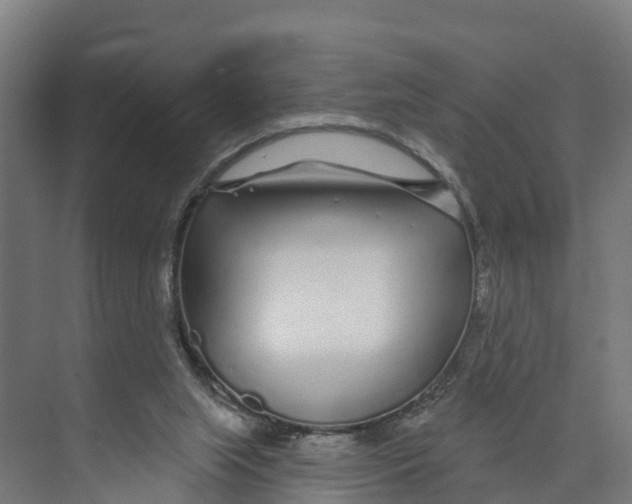 X0000073500063200608281652