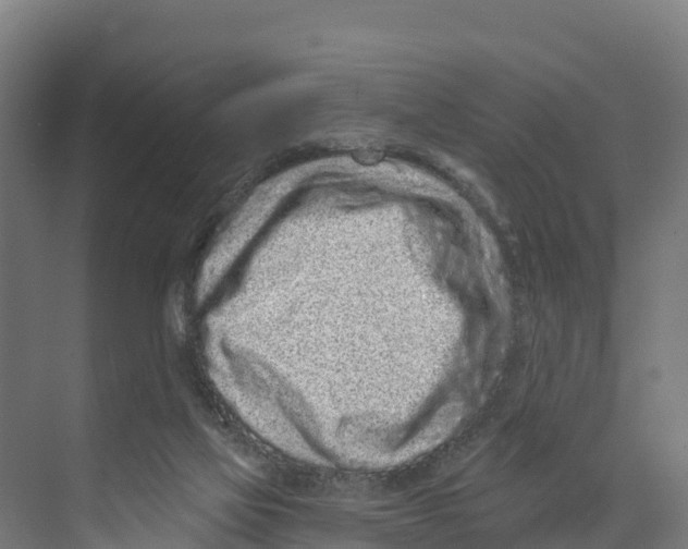 X0000073500069200608281652