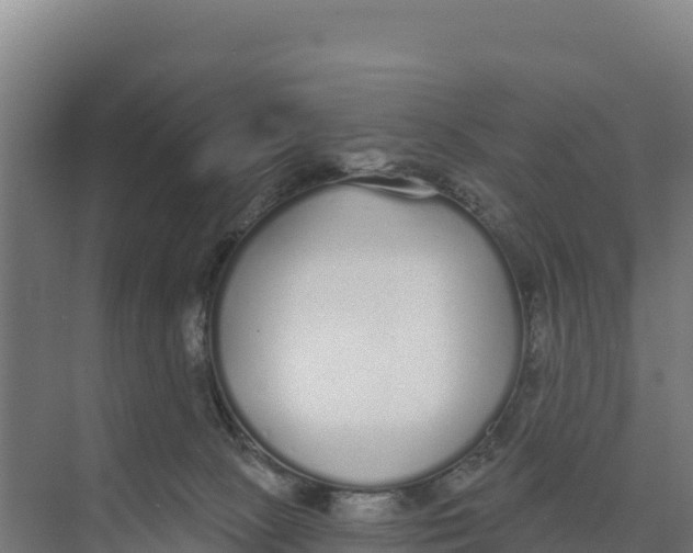 X0000073500081200608281652