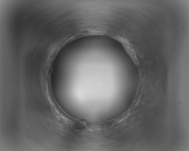 X0000073500097200608281652