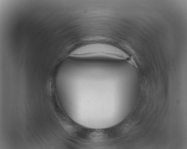 X0000073500119200608281651