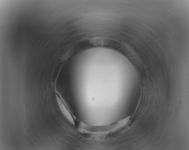 X0000073500125200608281651
