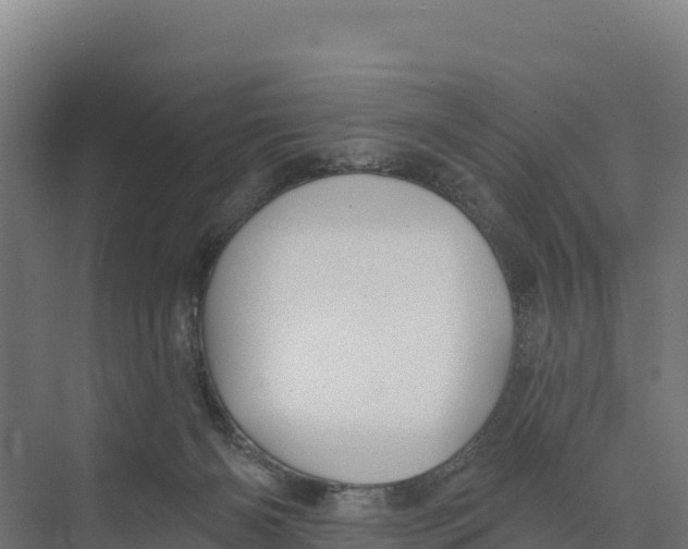 X0000073500126200608281651