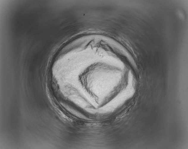 X0000073500145200608281650