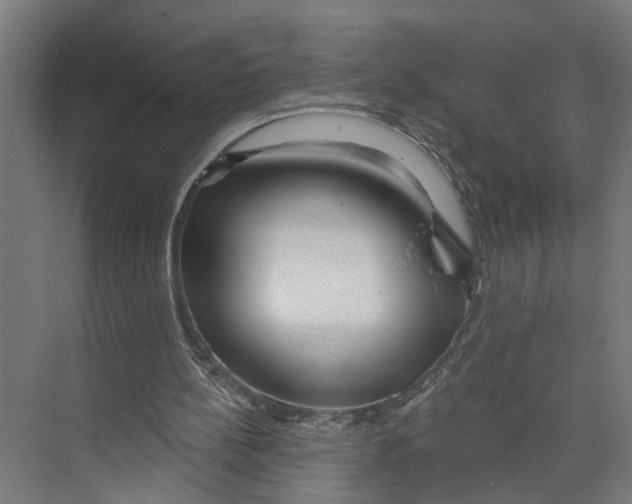 X0000073500148200608281650