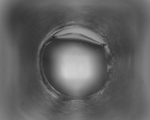 X0000073500150200608281650