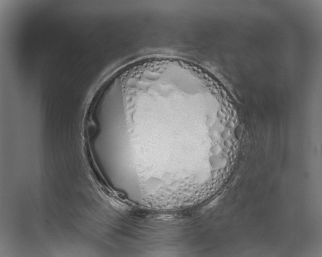 X0000073500151200608281650