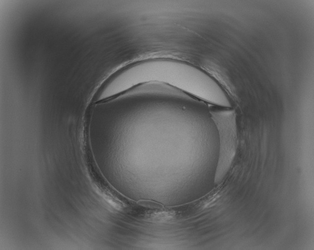 X0000073500156200608281650