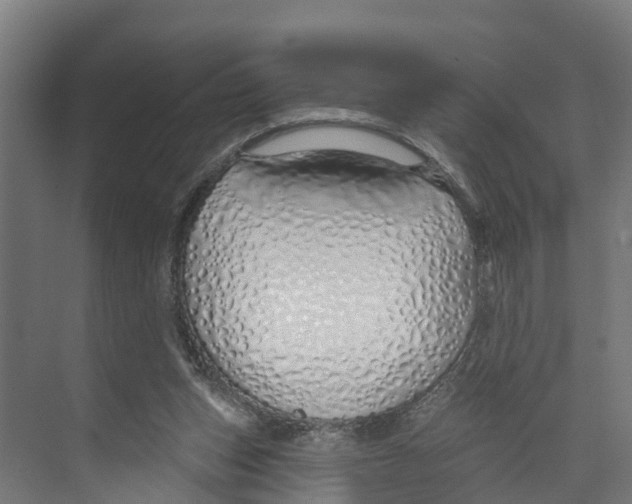 X0000073500159200608281650