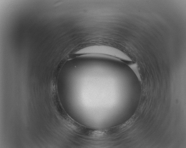 X0000073500176200608281651