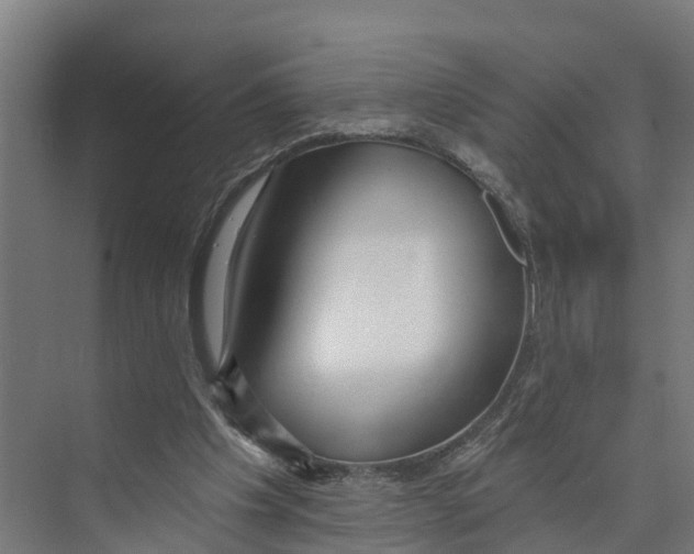 X0000073500201200608281650