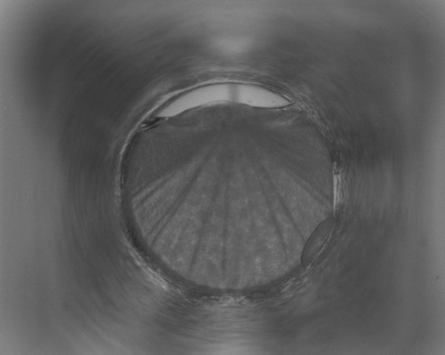 X0000073500243200608281648