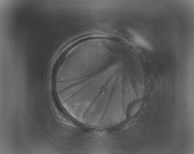 X0000073500247200608281648