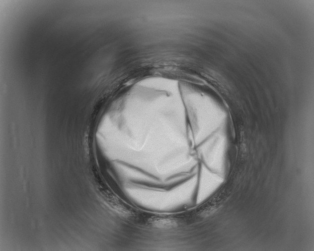 X0000073500258200608281649