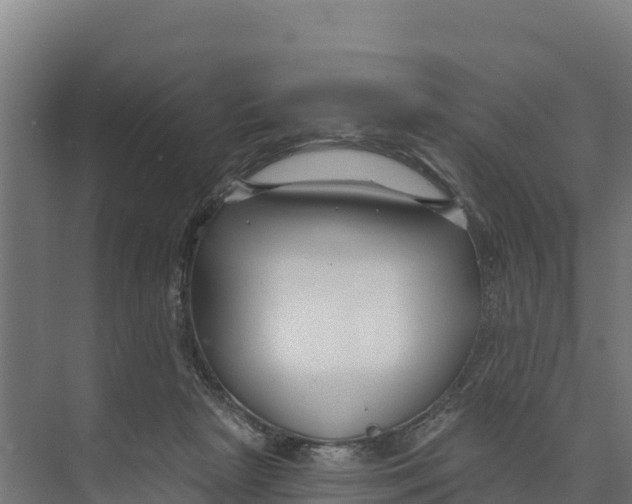 X0000073500265200608281649