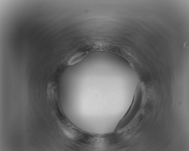 X0000073500276200608281649