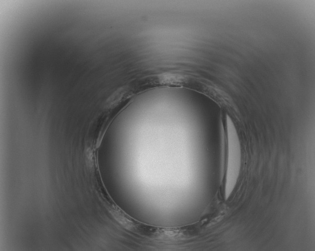 X0000073500329200608281648