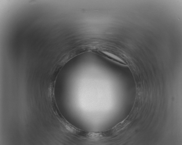 X0000073500333200608281648