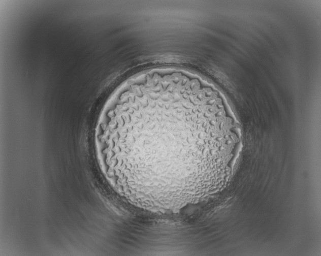 X0000073500347200608281647