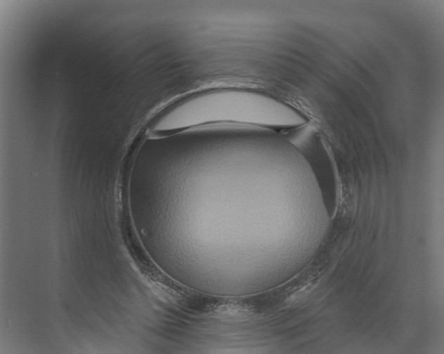 X0000073500348200608281647