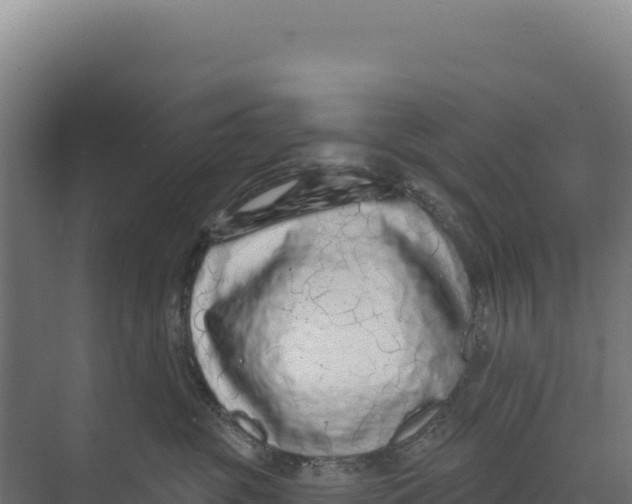 X0000073500381200608281648