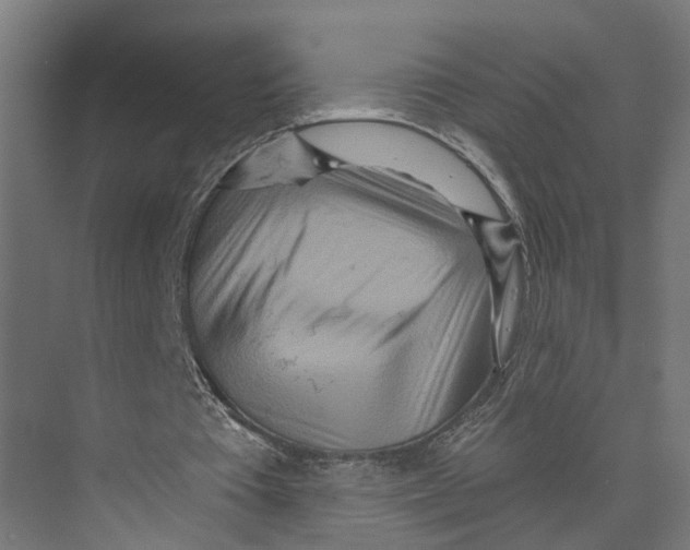 X0000073500385200608281647