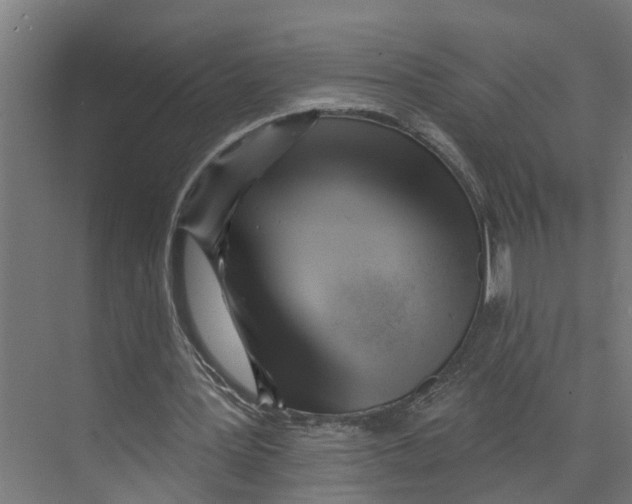 X0000073500387200608281647
