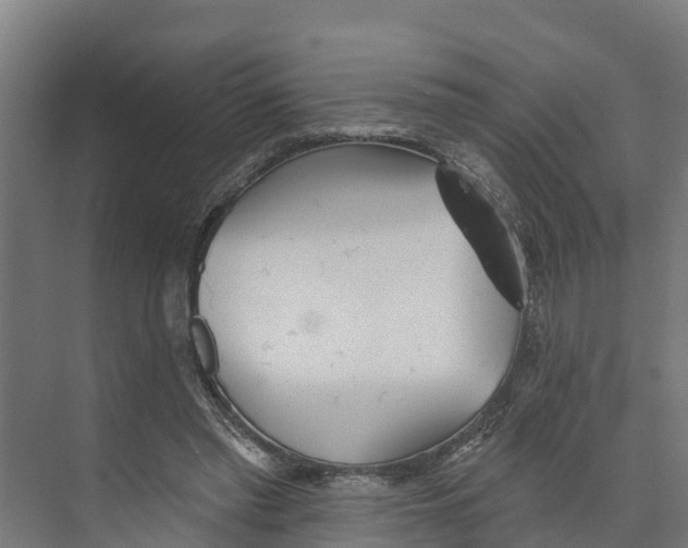X0000073500397200608281647