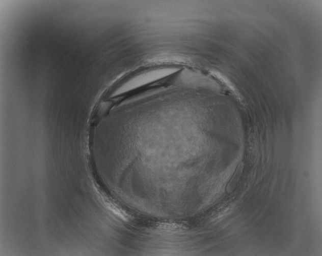 X0000073500399200608281647