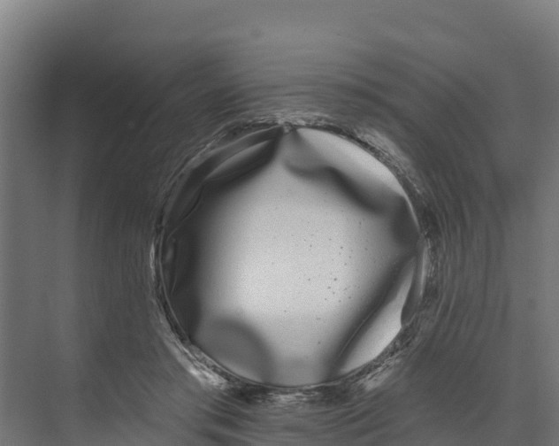 X0000073500405200608281646