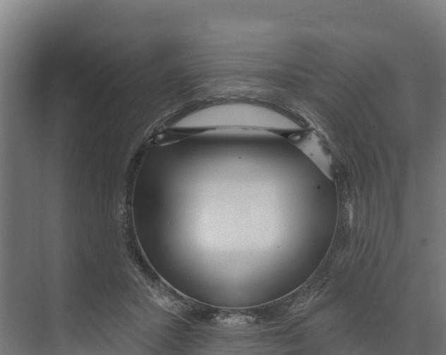 X0000073500407200608281646