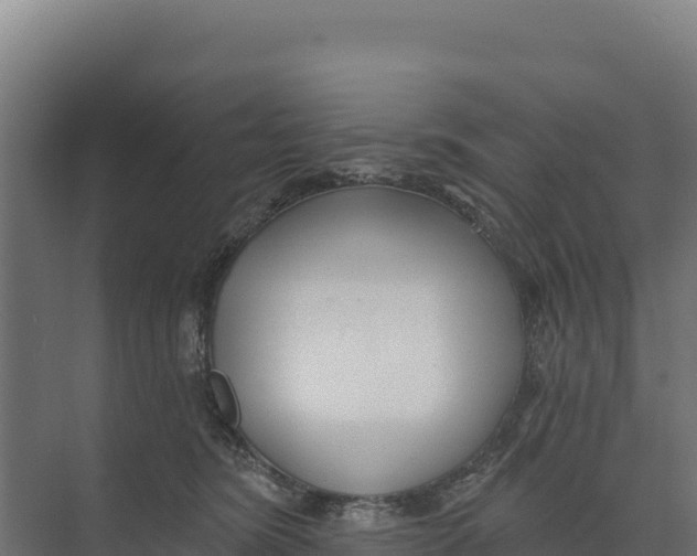 X0000073500420200608281646